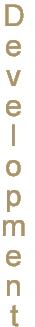 Internet Development